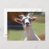 Albern BillyGoat-Foto Postkarte (Vorne/Hinten)