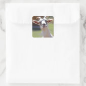 Albern BillyGoat-Foto Quadratischer Aufkleber (Tasche)