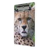 Albern Cheetah Cub Mini Klemmbrett (Gewinkelt2)