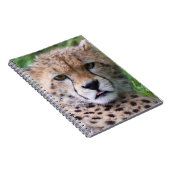 Albern Cheetah Cub Notizblock (Rechte Seite)
