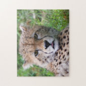 Albern Cheetah Cub Puzzle (Vertikal)