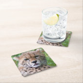 Albern Cheetah Cub Rechteckiger Pappuntersetzer (Vor Ort)