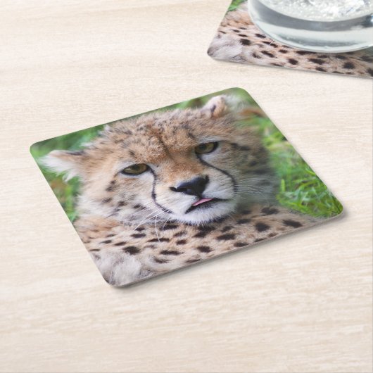 Albern Cheetah Cub Rechteckiger Pappuntersetzer (angewinkelt)