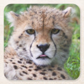 Albern Cheetah Cub Rechteckiger Pappuntersetzer (Vorderseite)