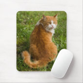 Albern Fluffy Orange Langerhaarige Tablette Mousepad (Mit Mouse)