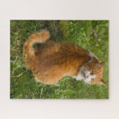 Albern Fluffy Orange Langerhaarige Tablette Puzzle (Horizontal)