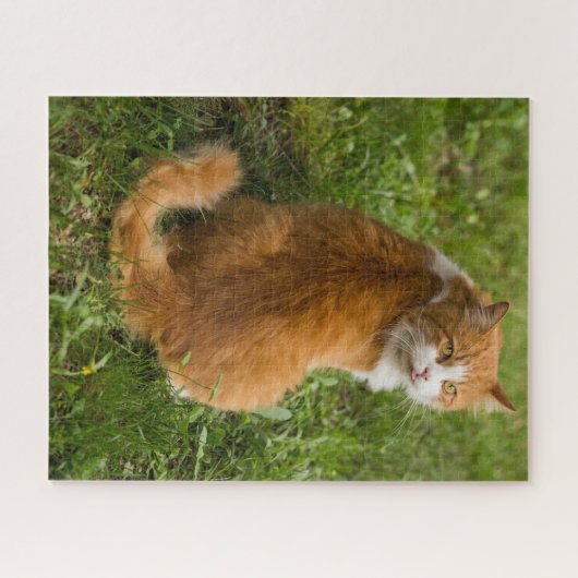 Albern Fluffy Orange Langerhaarige Tablette Puzzle (Horizontal)