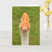 Albern Gänse Geburtstag Karte (Gelbe Blume)