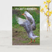 Albern Gänse Geburtstag Karte (Gelbe Blume)