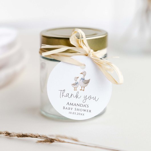 Albern Gänsedusche Geschenkanhänger