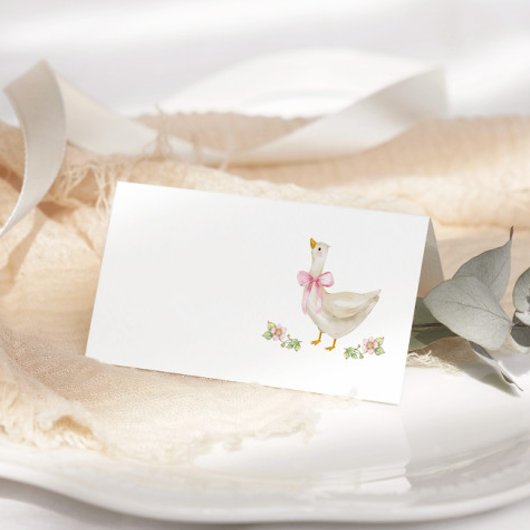 Albern Gänserosa Bow Kinderdusche Platzkarte