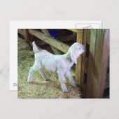 Albern Little Kid Postkarte (Vorne/Hinten)