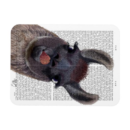 Albern Llama Magnet (Horizontal)