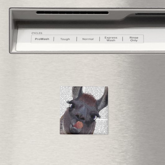 Albern Llama Magnet (In Situ (Geschirrspüler))