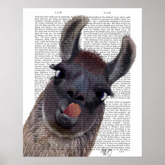 Albern Llama Poster (Vorne)