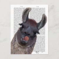 Albern Llama