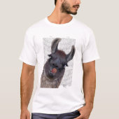 Albern Llama T-Shirt (Vorderseite)
