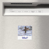 Albern Mallard Duck Magnet (In Situ (Geschirrspüler))