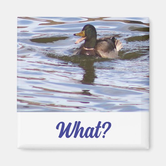 Albern Mallard Duck Magnet (Vorne)