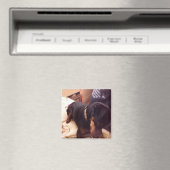 Albern Min Button Magnet (In Situ (Geschirrspüler))