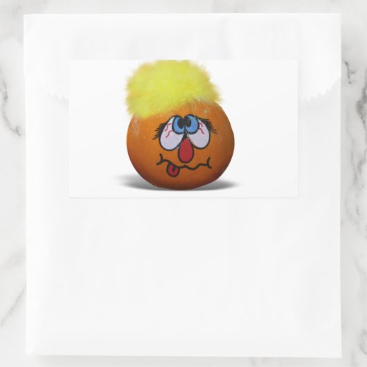 Albern Mini Pumpkin Face Rechteckiger Aufkleber (Tasche)