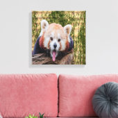 Albern Red Panda Leinwanddruck (Insitu (Wohnzimmer))