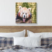 Albern Red Panda Leinwanddruck (Insitu (Schlafzimmer))