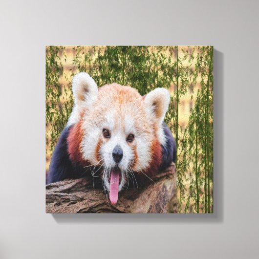 Albern Red Panda Leinwanddruck (Vorderseite)