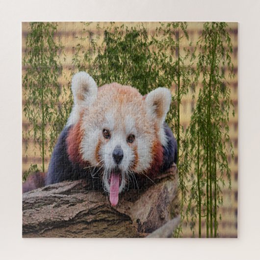 Albern Red Panda Puzzle (Vertikal)