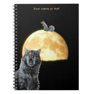 Albern Schockierte Katze und Eichhörnchen auf dem Notizblock