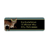 Albern Tabby Cat (Vorne)