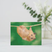 alberne Ampulle Postkarte (Stehend Vorderseite)