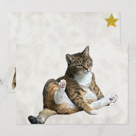 Alberne Cat-Pose - Annie's Flachgrüßkarte (Vorne/Hinten)