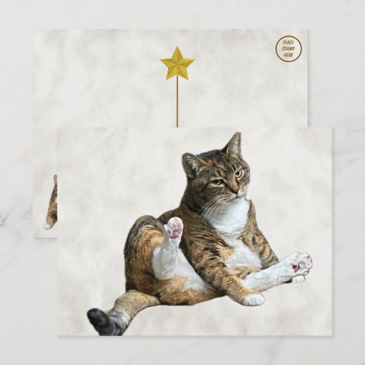 Alberne Cat-Pose - Annie's Postcard Postkarte (Vorne/Hinten)