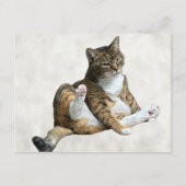 Alberne Cat-Pose - Annie's Postcard Postkarte (Vorderseite)