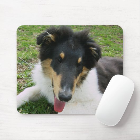 Alberne Collie Mousepad (Mit Mouse)
