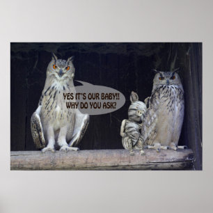 Alberne Frage Poster