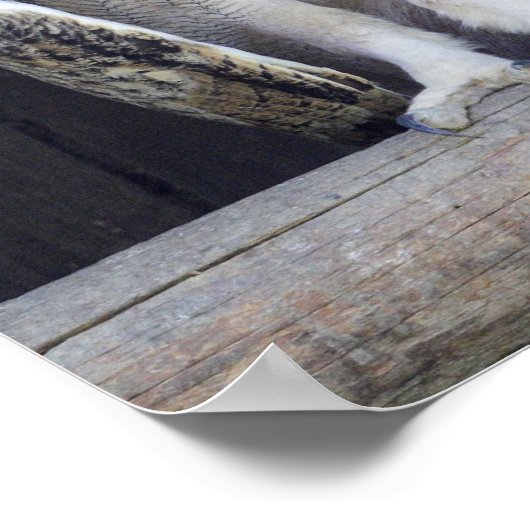 Alberne Frage Poster (Ecke)