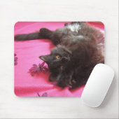 alberne Gallone Mousepad (Mit Mouse)