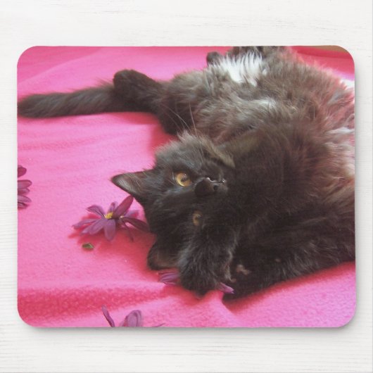 alberne Gallone Mousepad (Vorne)