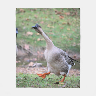 Alberne Gans Fleecedecke