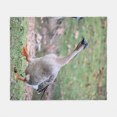 Alberne Gans Fleecedecke (Vorderseite (Horizontal))