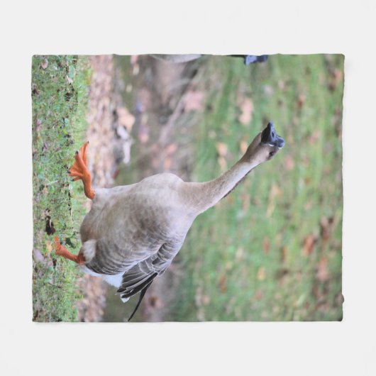 Alberne Gans Fleecedecke (Vorderseite (Horizontal))
