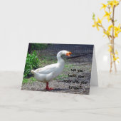Alberne Gans-Geburtstags-Gruß-Karte Karte (Gelbe Blume)