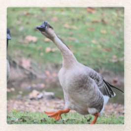 Alberne Gans Glasuntersetzer