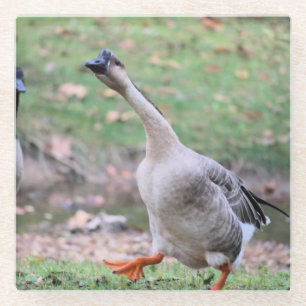 Alberne Gans Glasuntersetzer