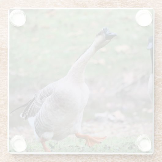 Alberne Gans Glasuntersetzer (Rückseite)