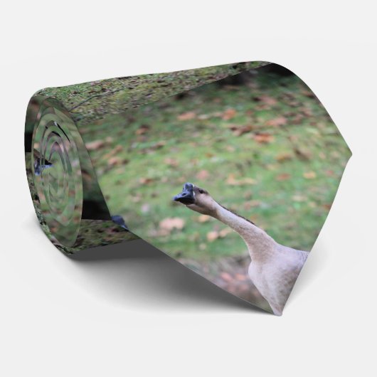 Alberne Gans Krawatte (Gerollt)