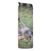 Alberne Gans Thermosbecher (Nach rechts gedreht)