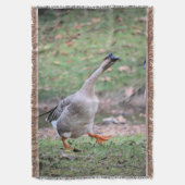 Alberne Gänseflockendecke Decke (Vorderseite Vertikal)